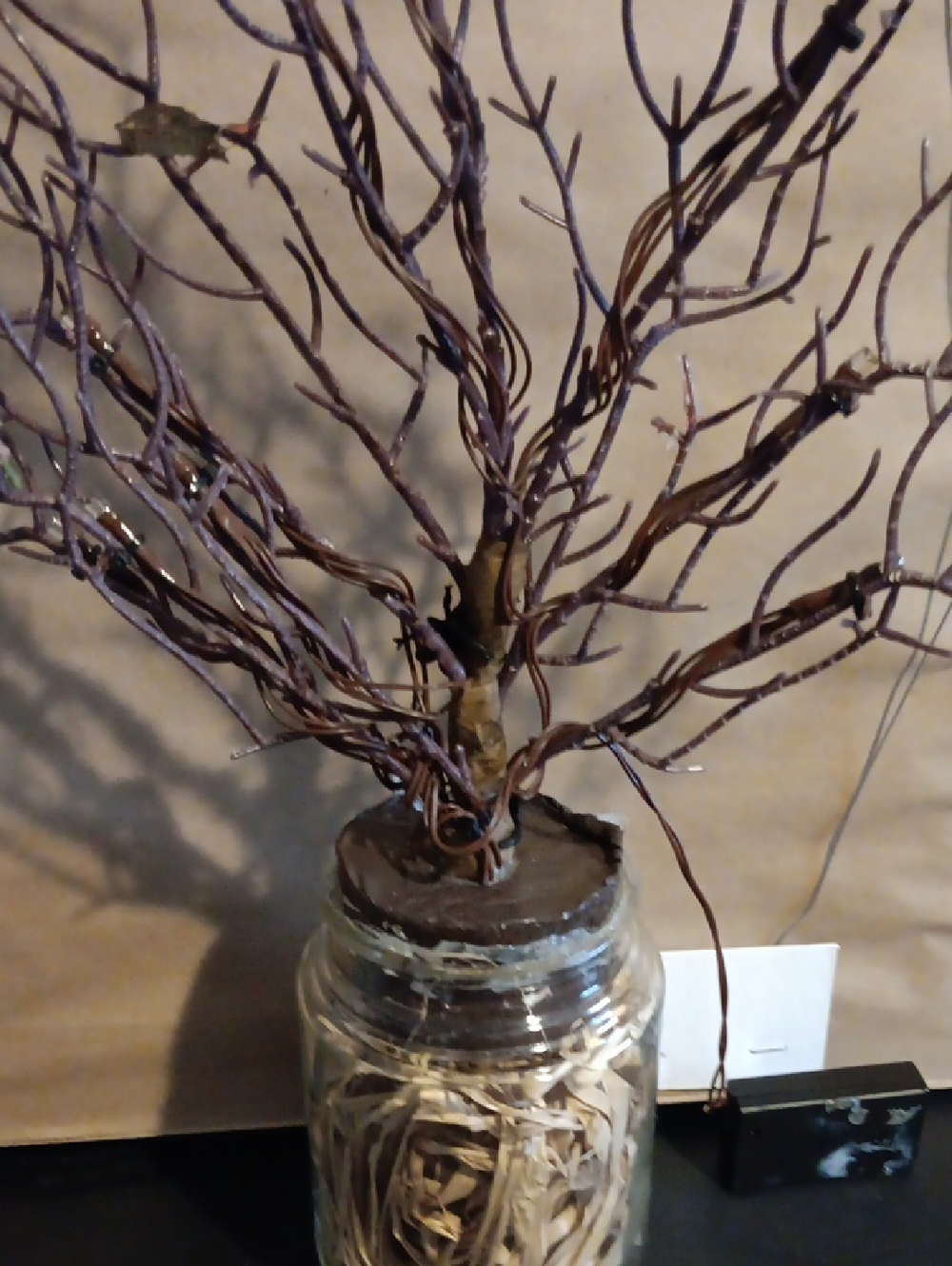 Jar Straw Plastic Tree